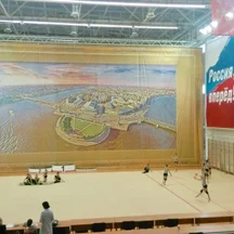 Центр художественной гимнастики