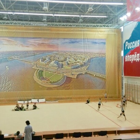 Центр художественной гимнастики